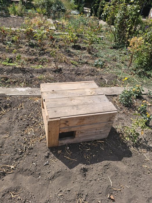 Будка.Насест.Клітка.