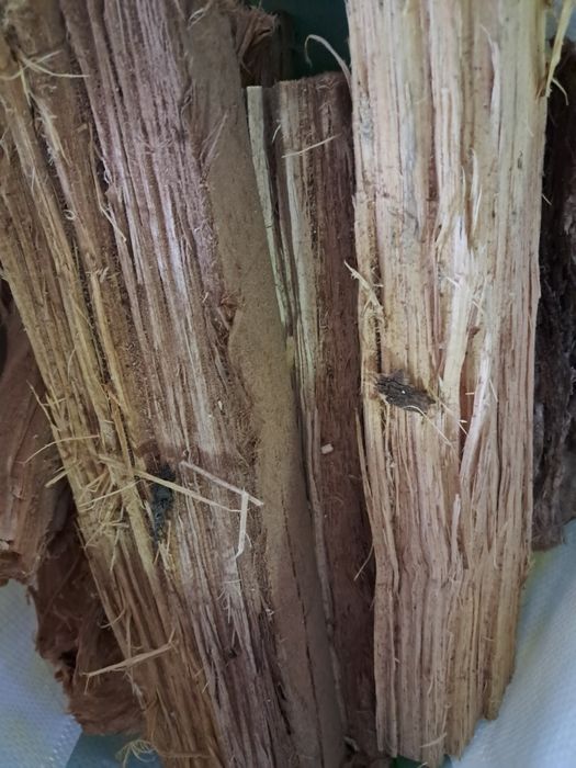 Saco Lenha Eucalipto com 20kg