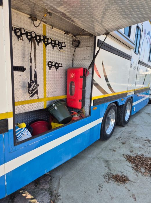 Koniowóz Scania 113H