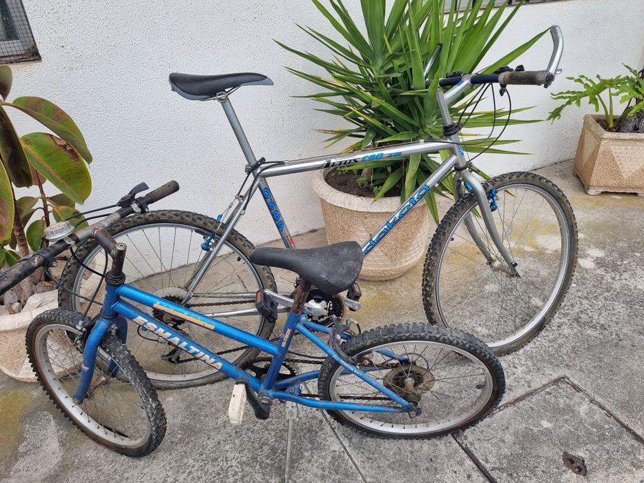 Bicicletas de adulto