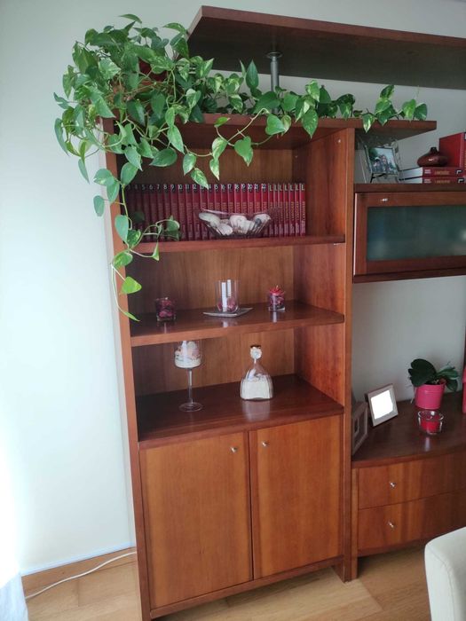 Móvel Sala Cerejeira (usado em excelente estado)