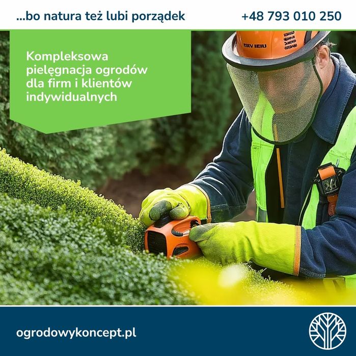TY sadzisz, MY kosimy - konkurencję też!