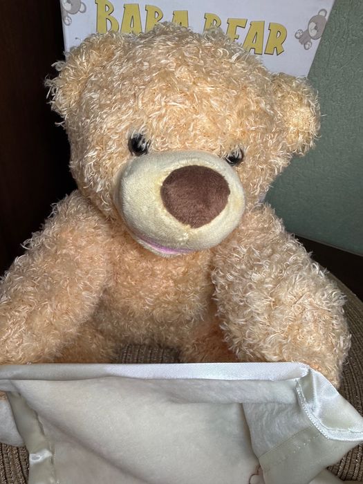 Мишка Давай поиграем в прятки