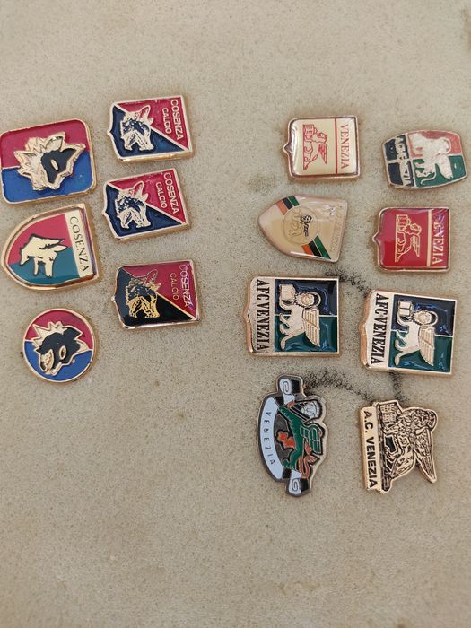 Pins Cosenza e Venezia Itália