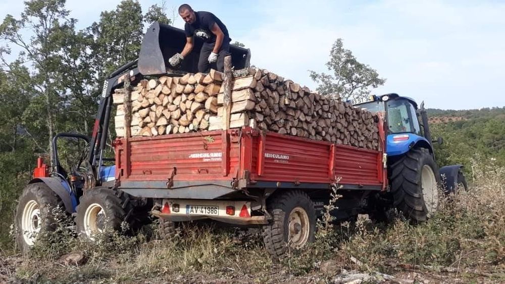 Lenha de carvalho carrasco pinho e castanho