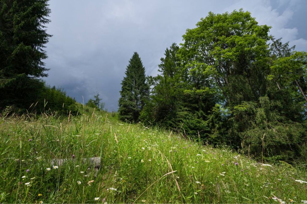 ЕКСКЛЮЗИВНА земельна ділянка площею 300 сот.