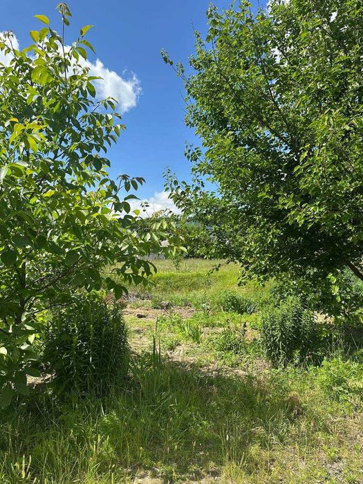 Продаж земельної ділянки в смт Киїнка, район "Дубки"