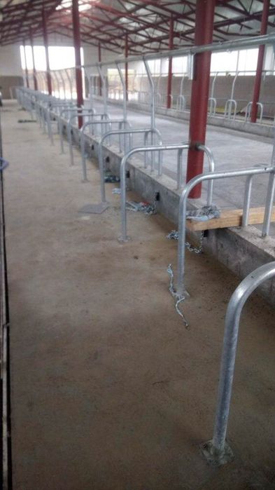 wygrodzenia dla krów bydła stanowiska drabiny przegrody ocynk