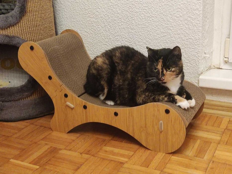 Drapak fala dla kota kartonowy legowisko stabilny