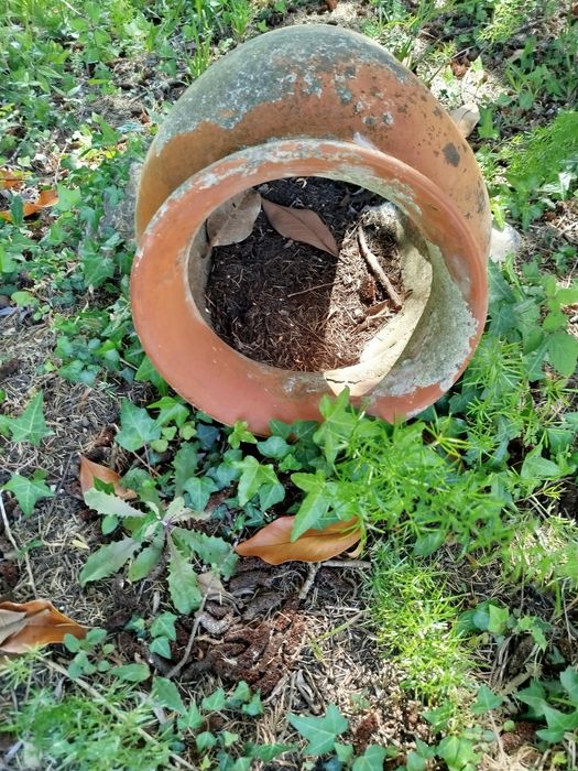 Vasos e decoração de Jardim