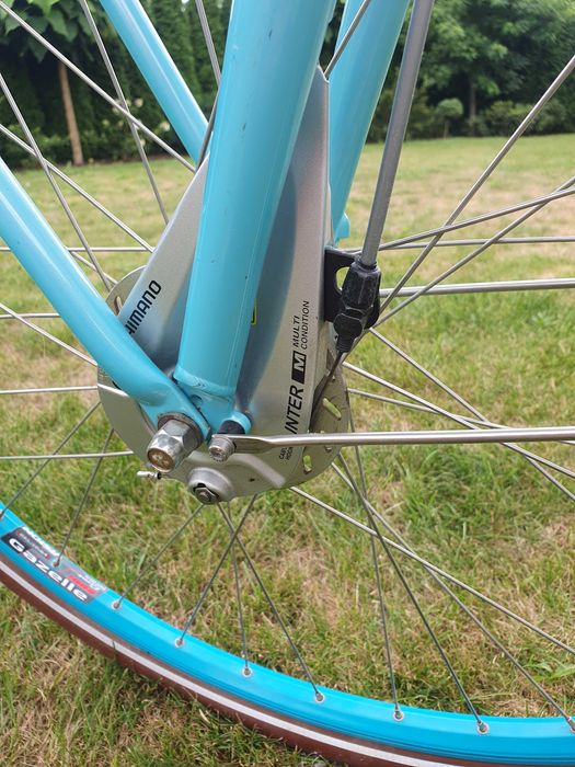 Rower Gazelle, Miss Grace Arctic