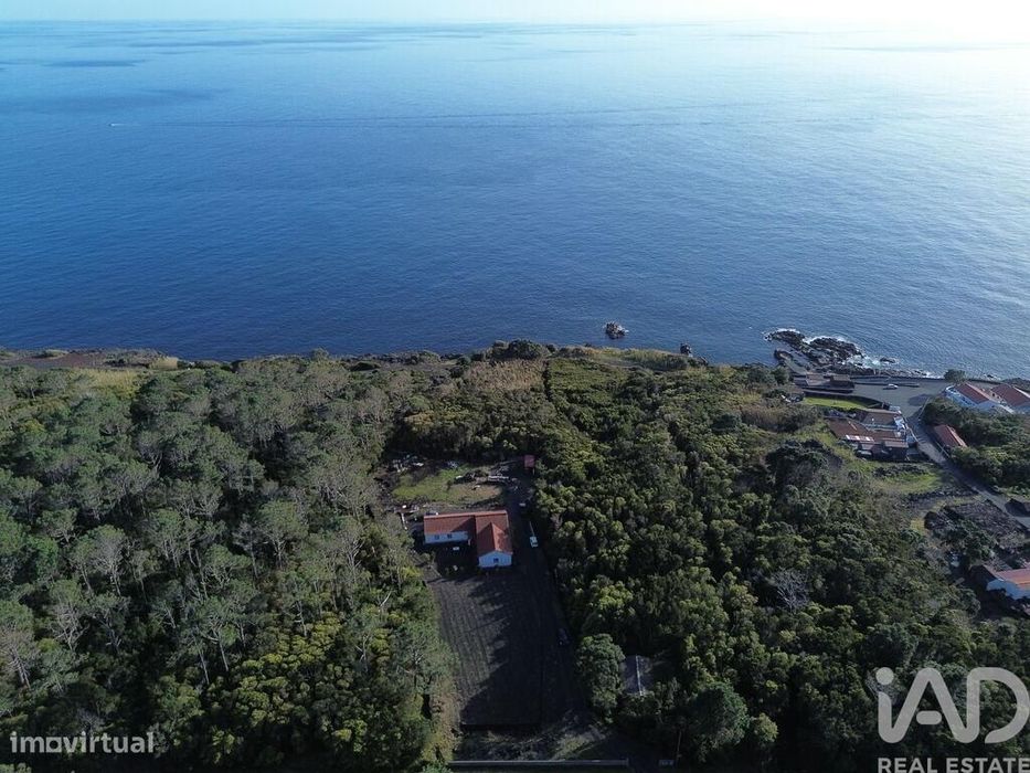 Casa / Villa T3 em São Caetano de 220,00 m2