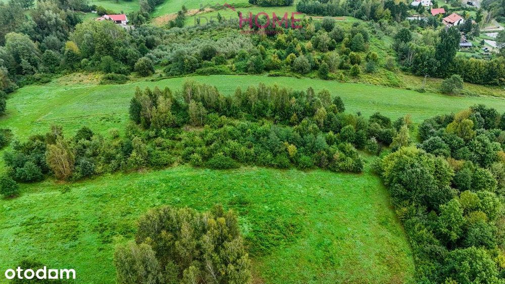 Nowy Borek 1,3675 ha- w trakcie Wz zagrodowa