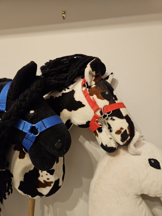 Zestaw trzech hobby horses