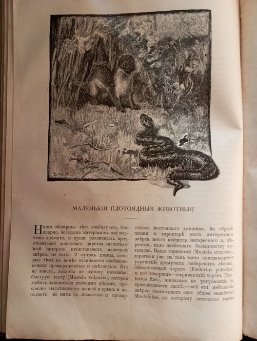 Вестник "Новь" 1885 года.Иллюстрованный двухнедельный