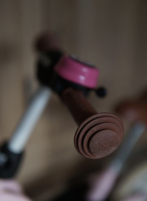 rowerek biegowy Puky LR M Classic 12"