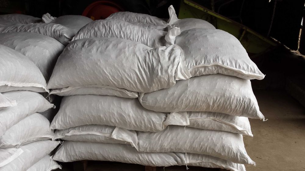 Lucerna oczyszczona workowana.