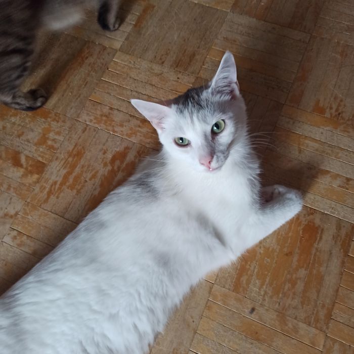 Yuki i Leo - przesympatyczni bracia :)