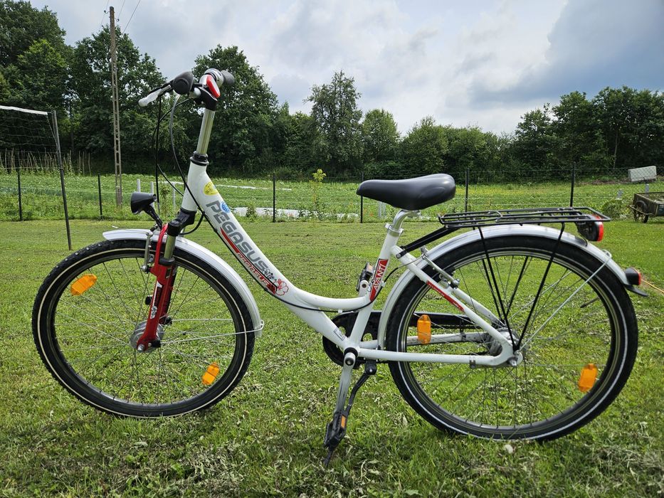 Rower Pegasus 26"