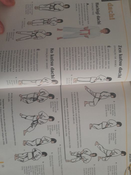 Livro educacional O Karaté