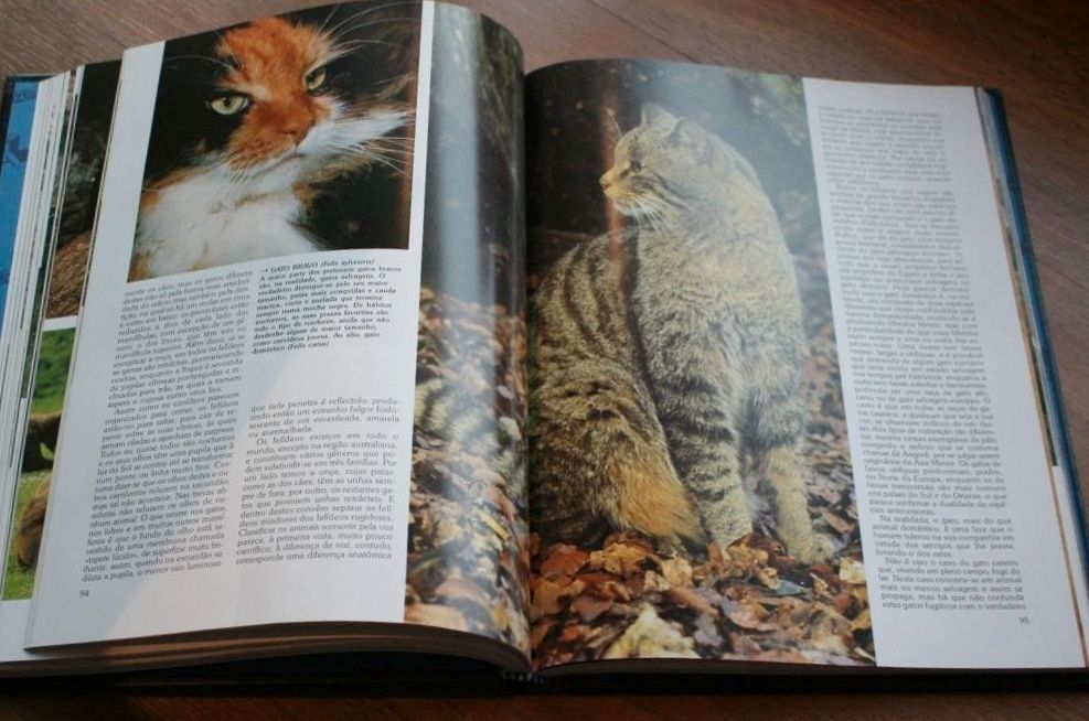 História Natural, 12 volumes