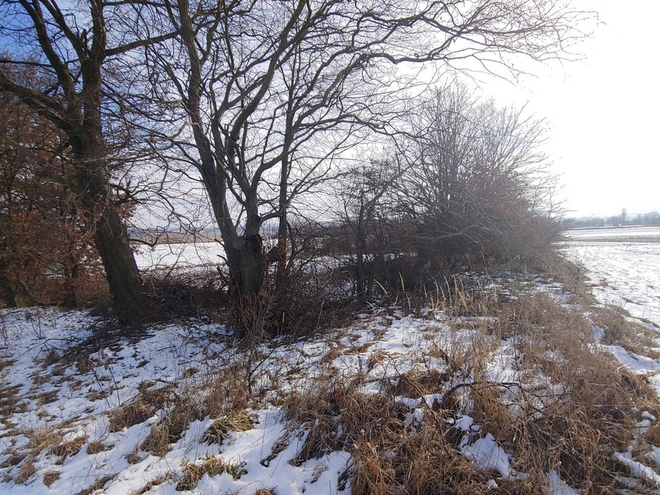 ДІЛЯНКА від ОЛЕКСАНДРА! ЗНИЖЕНА ЦІНА!!! Глинськ під забудову,33 сот.