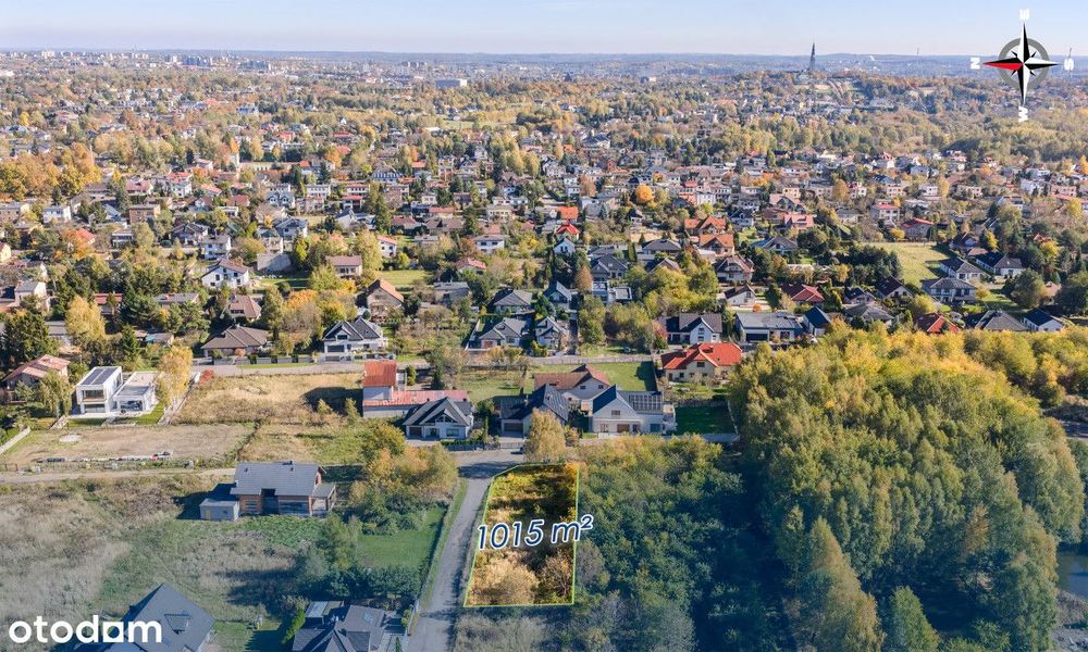 Duża działka budowlana Lisniec - Widok 4