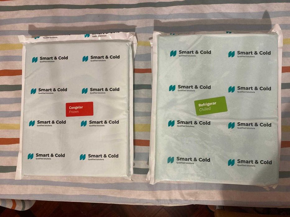 Lote de Sacos Térmicos para alimentos