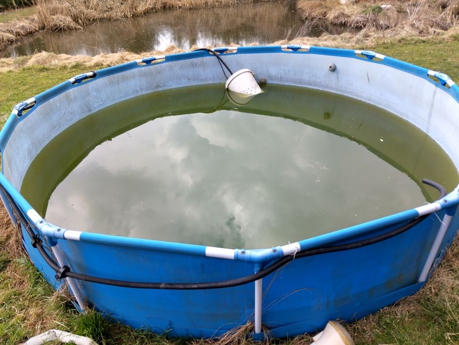 Basen Bestway 366/76