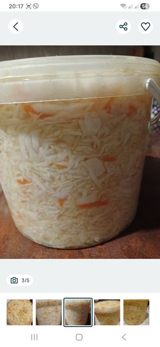 Капуста  квашена