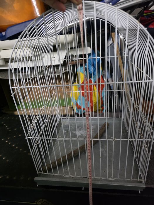Gaiola para aves