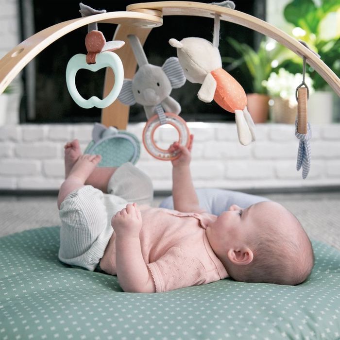 Розвивальний килимок Ingenuity Cozy Spot