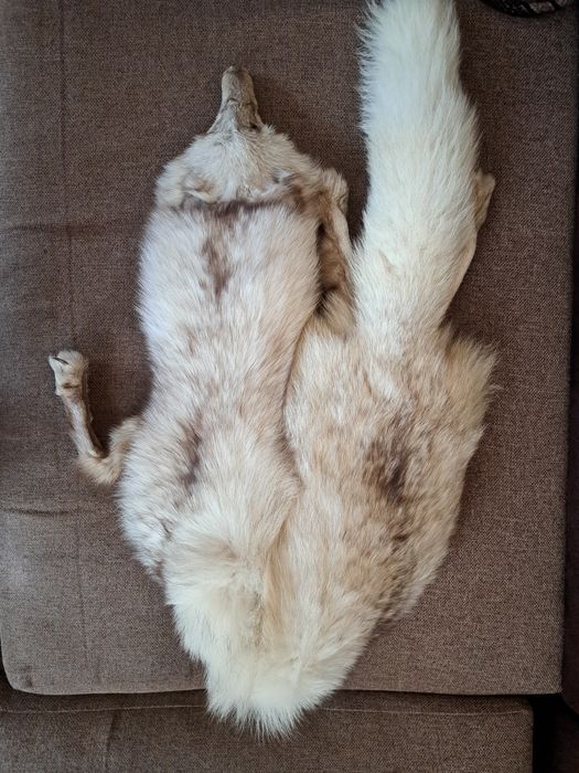 Комір. Хутро песця.