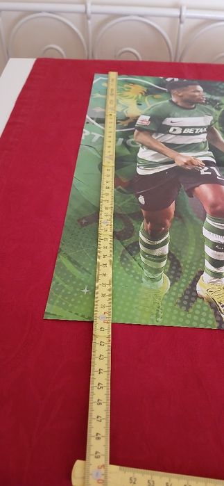 Poster Geny Catamo  - Sporting