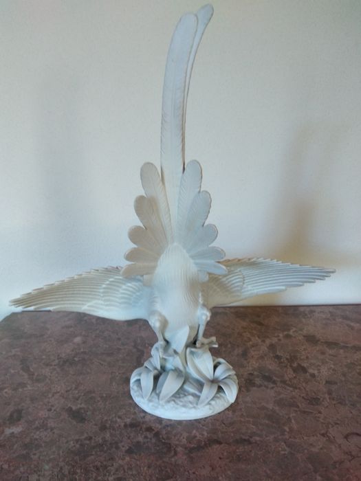 Pássaro Azul da China, Vista Alegre