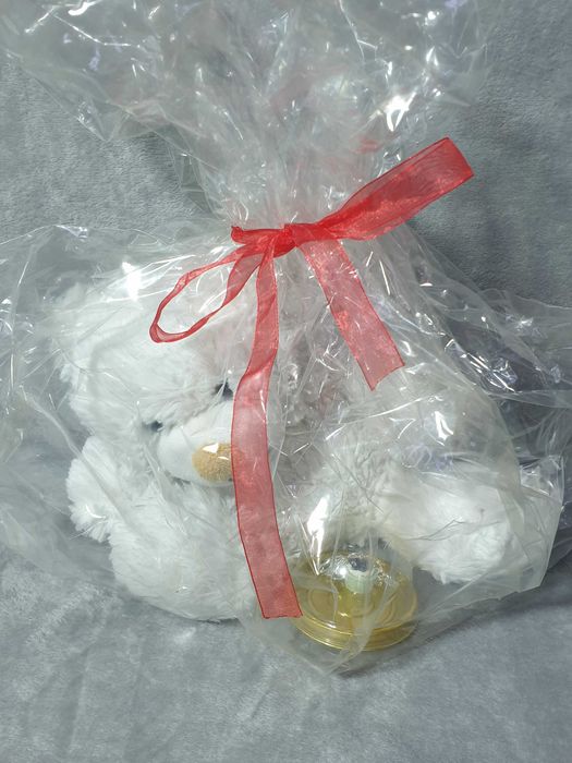 Maskotka paczka Mikołajowa święta miś Prezent