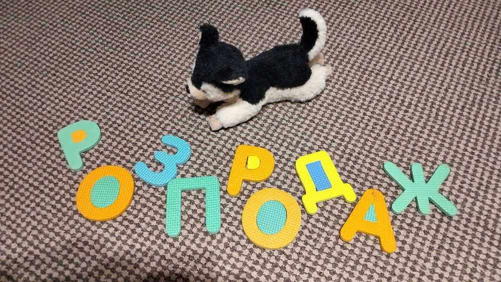 Літери -пазли-килимок.