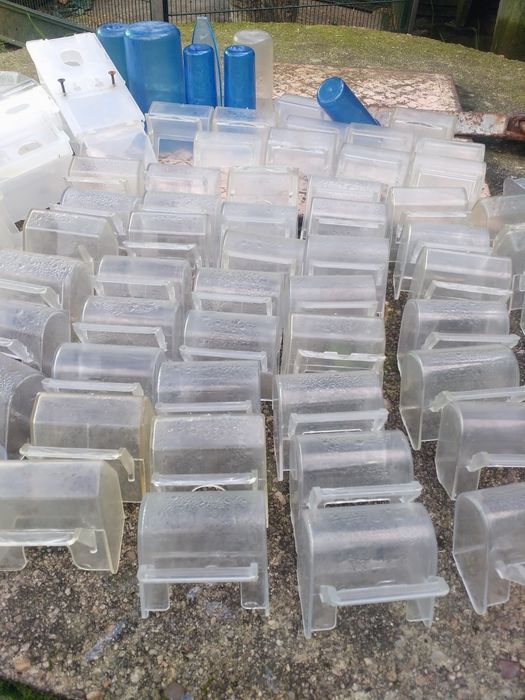 Viveiros pra criação