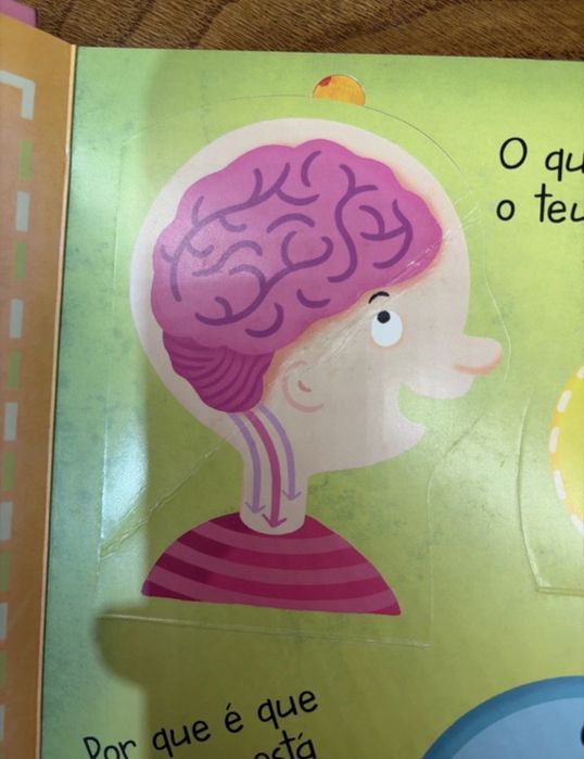 Livro “O Grande Livro de Respostas: Corpo Humano”