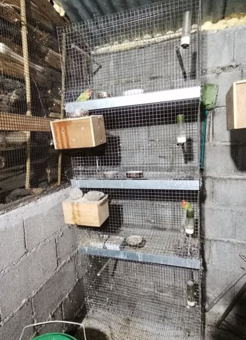 Gaiola / viveiros para pássaros