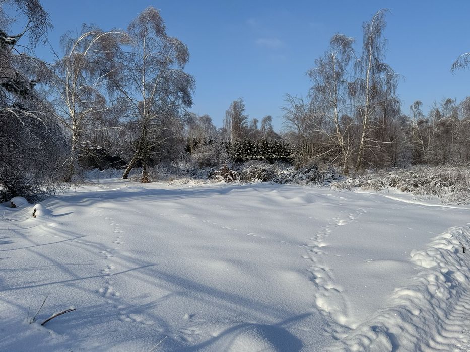 Продаж земельної ділянки, Горбовичі. 59 соток.