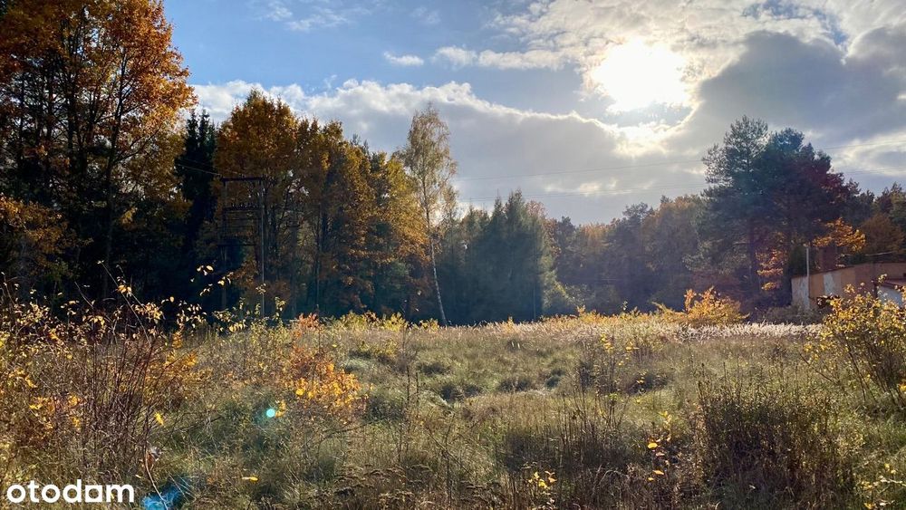 Działka budowlana z WZ - Pruszaków