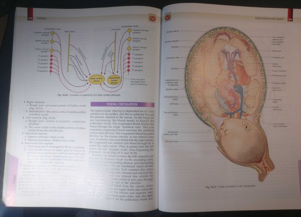 Human Anatomy 6 edition Volume 1 - Upper Limb,  Thorax B D Chaurasia