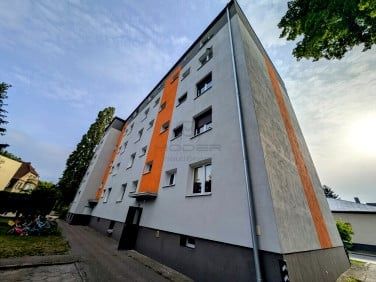 Mieszkanie do wynajęcia