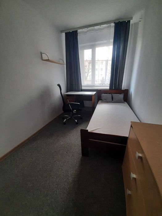 Zdjęcie 2