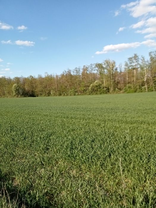 Działka budowlana