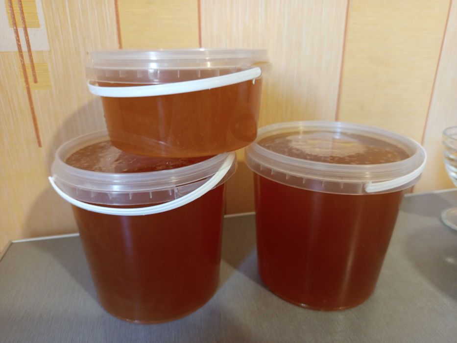 Продам натуральний мед