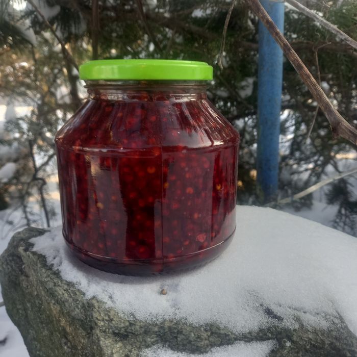 Лимонник китайский.ягода .