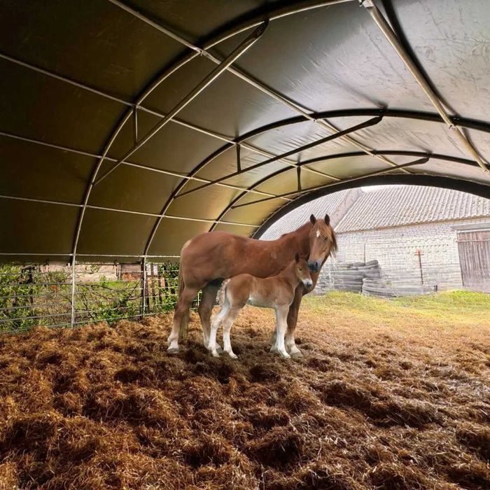 NOWA wiata pastwiskowa dla zwierząt 8x8m, OCYNK, plandeka PVC