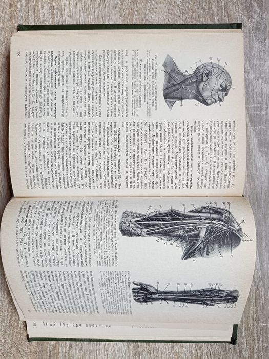 Анатомія людини для студентів вищих навчальних закладів.